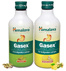 Himalaya Gasex